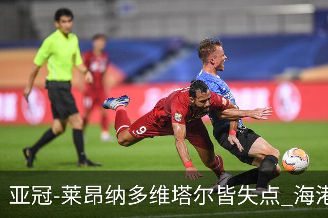 亚冠-莱昂纳多维塔尔皆失点 海港爆冷2-3河内公安遭首败