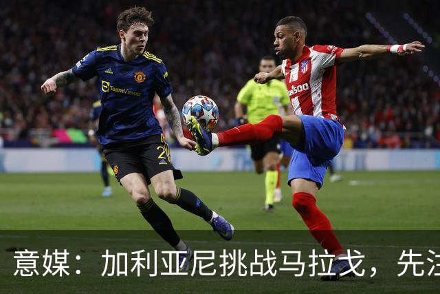 意媒：加利亚尼挑战马拉戈，先注册再参选