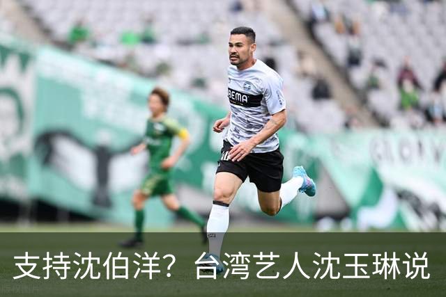 支持沈伯洋？台湾艺人沈玉琳说“怎么一直傻傻投篮”引发联想