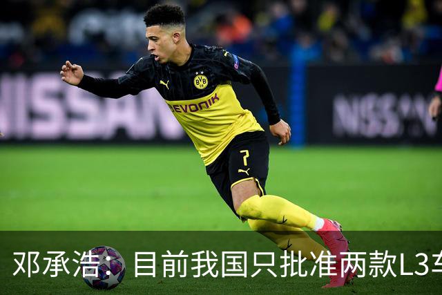 邓承浩：目前我国只批准两款L3车型 很多产品在打擦边球