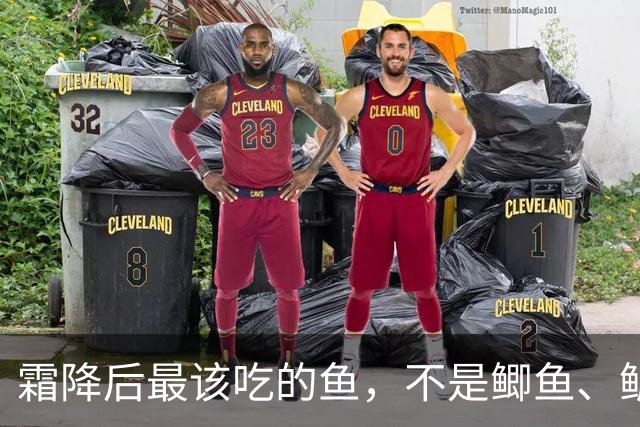 霜降后最该吃的鱼，不是鲫鱼、鲈鱼，而是这3种鱼，鲜美营养易吸收，肉多刺少还不贵，别不懂吃！