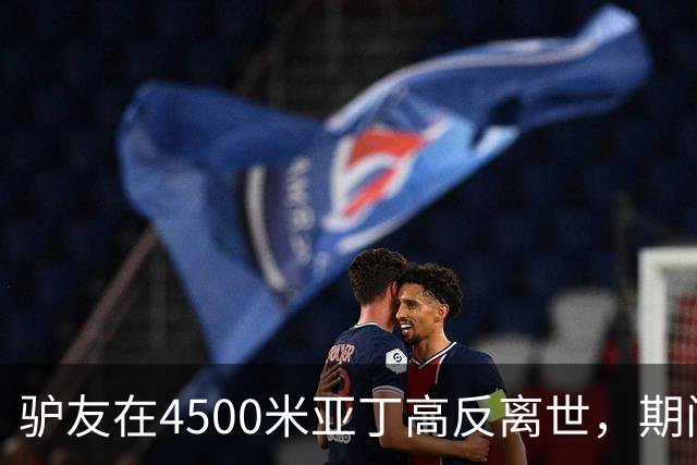 驴友在4500米亚丁高反离世，期间姐姐全网求免费直升机，牧民报价1万被她拉黑